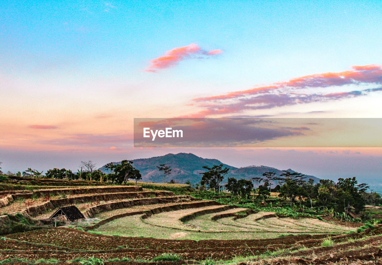 SCENIC VIEW OF FIELD AGAINST SKY AT SUNSET