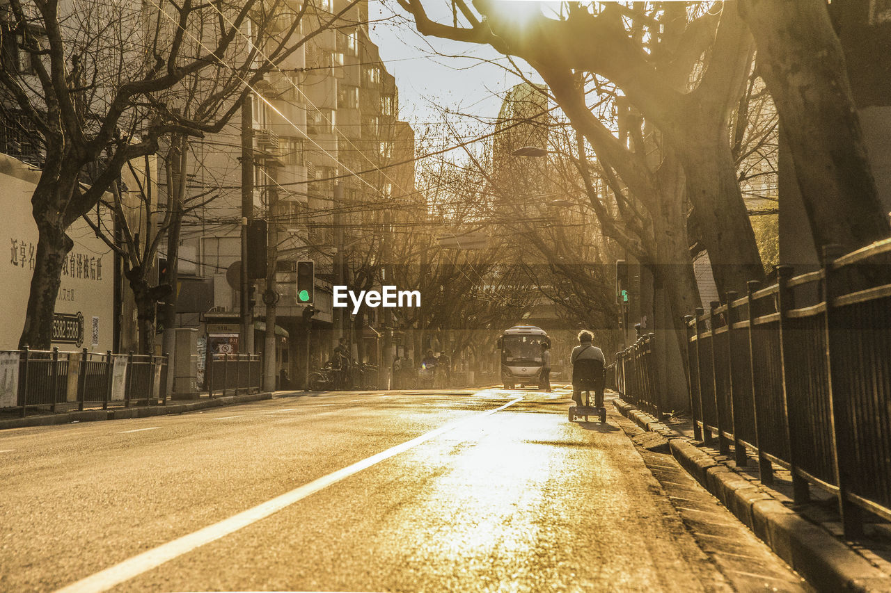 ROAD AMIDST BARE TREES AND BUILDINGS