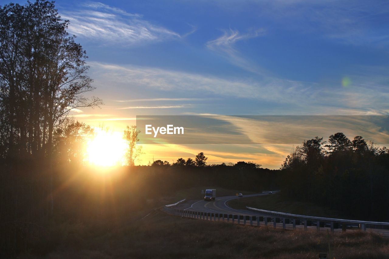 SUN SHINING THROUGH TREES