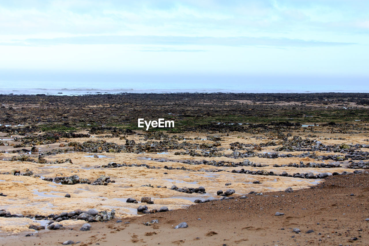 SCENIC VIEW OF BEACH