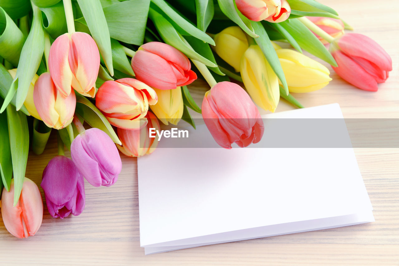 Close-up of tulips and greeting card on table