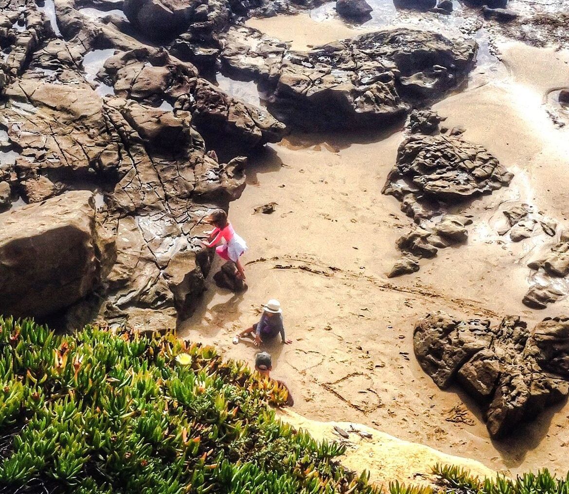 HIGH ANGLE VIEW OF BIRD ON BEACH