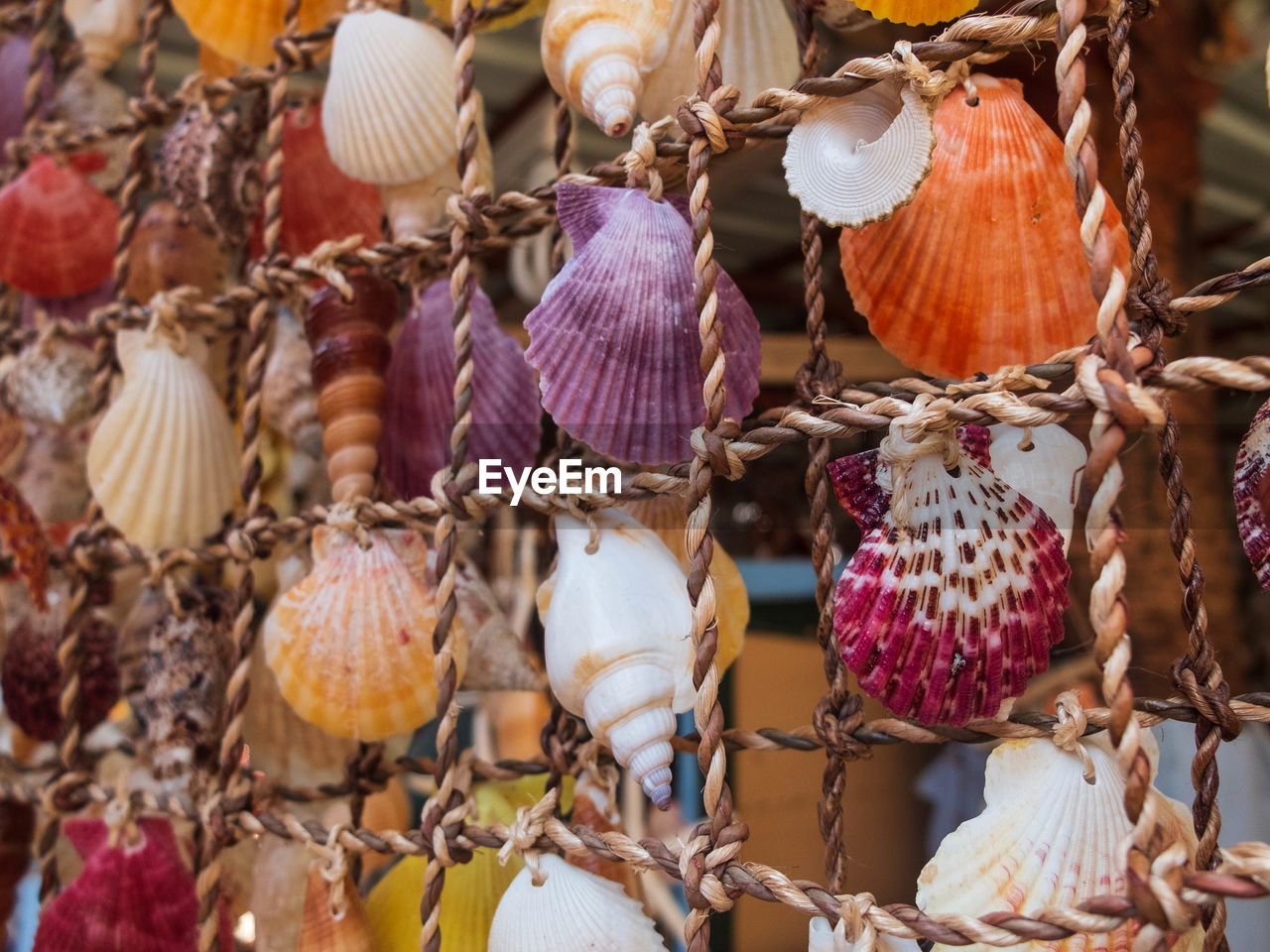 Traditional colorful home decorations made from different shape and color seashells.
