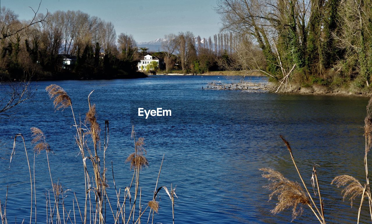 SCENIC VIEW OF LAKE WITH TREES IN BACKGROUND