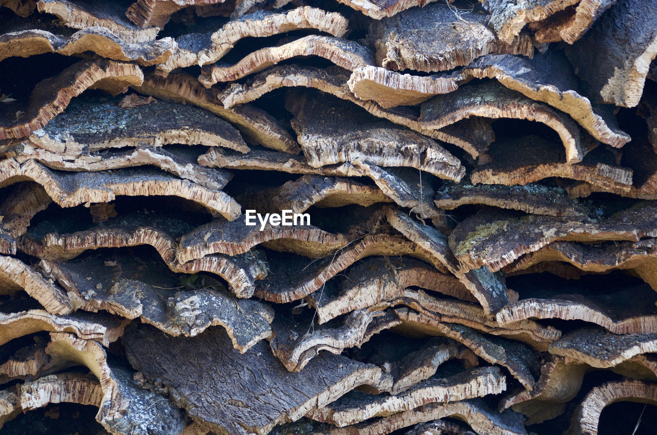 FULL FRAME SHOT OF ROASTED COFFEE BEANS