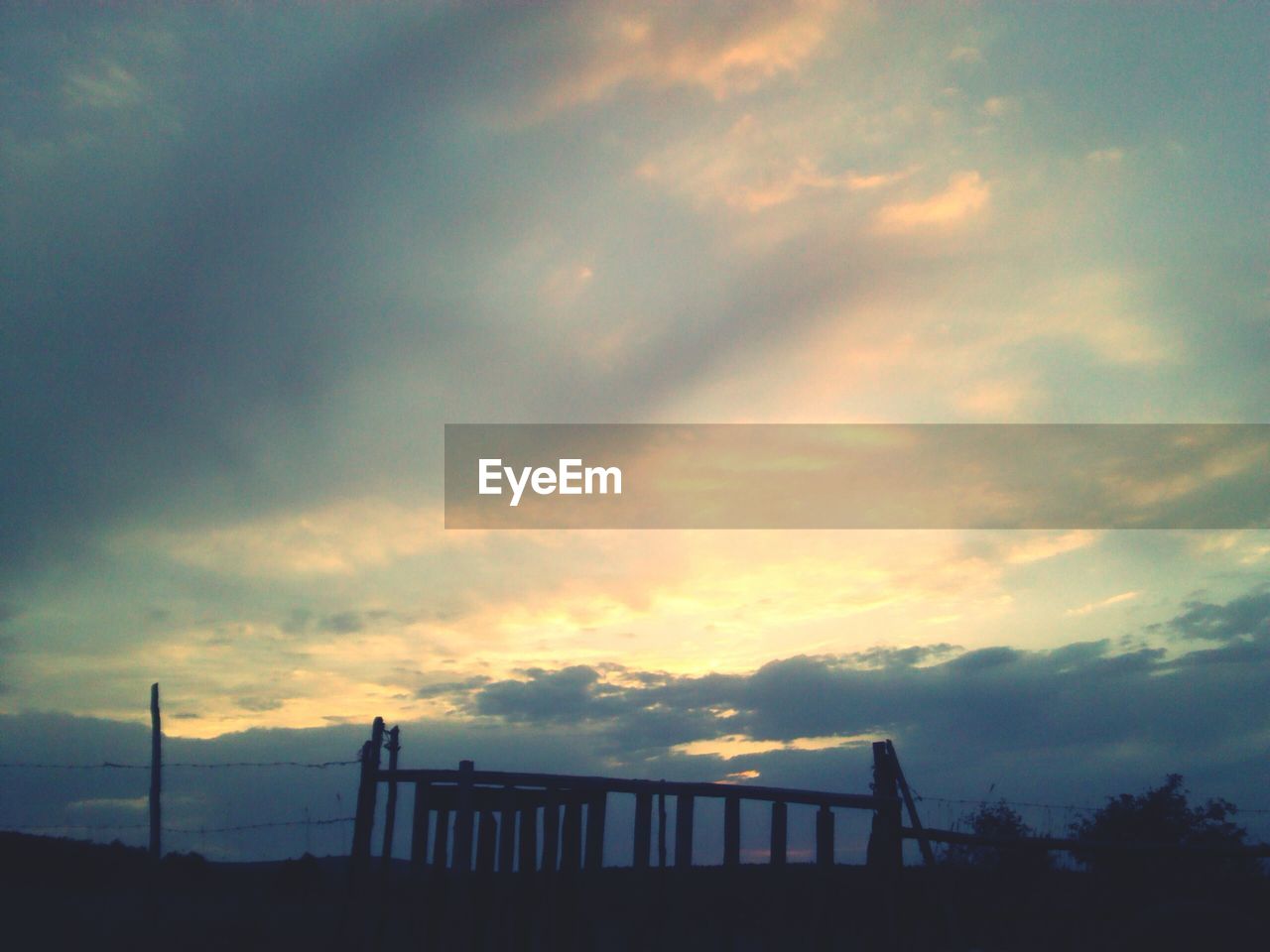 Low angle view of silhouette trees against sky