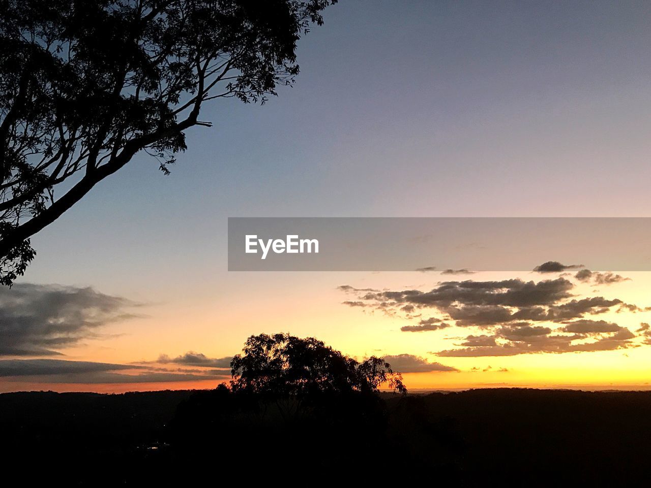 SILHOUETTE TREES ON LANDSCAPE AGAINST DRAMATIC SKY