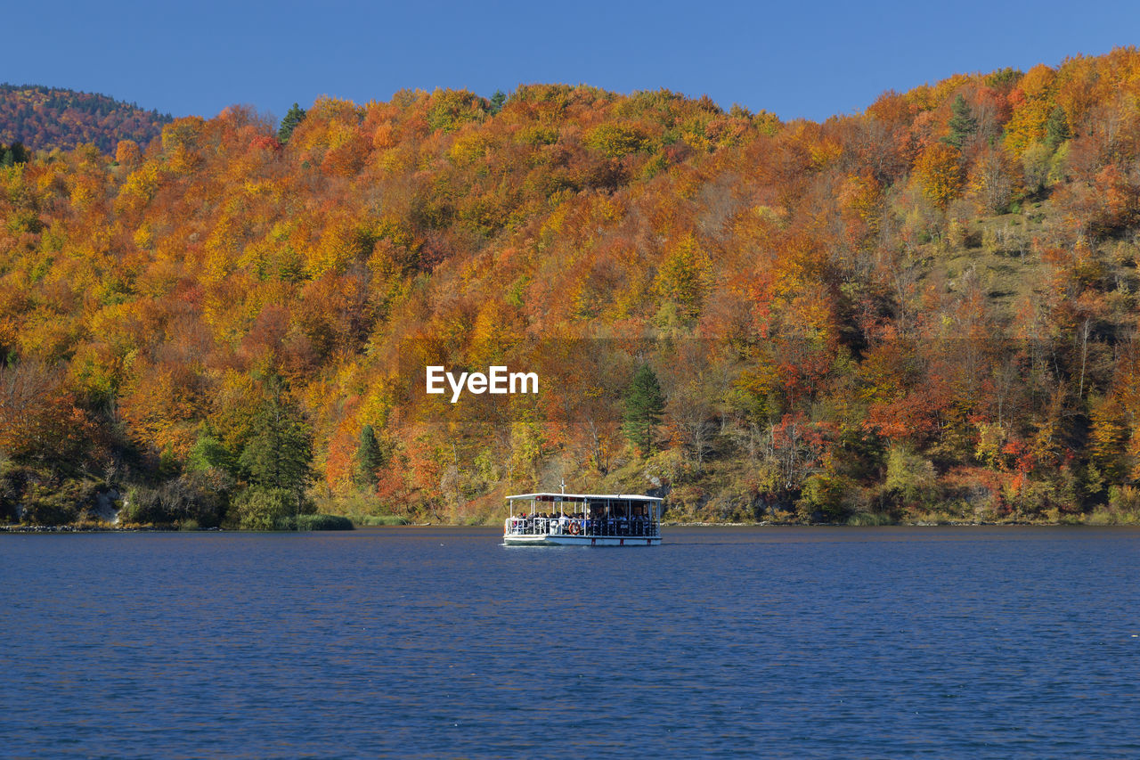 Scenic view of trees during autumn