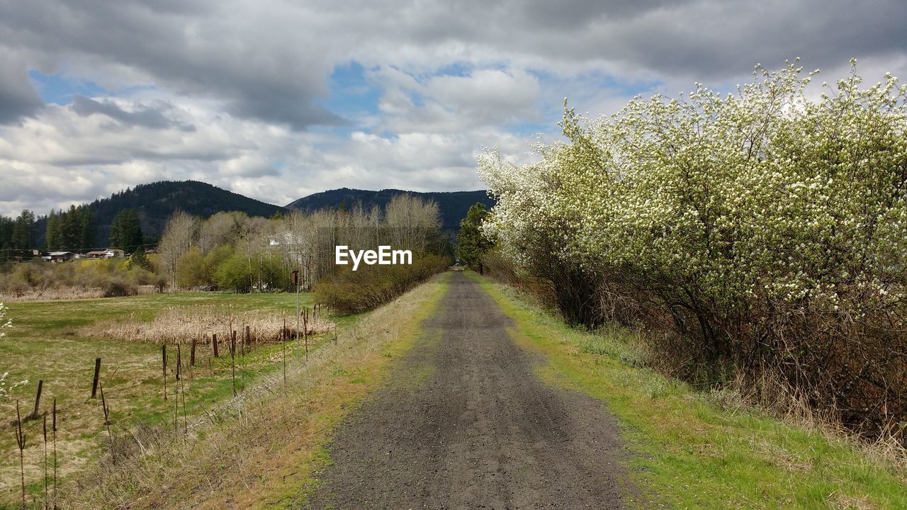 EMPTY ROAD ALONG PLANTS AND LAND AGAINST SKY