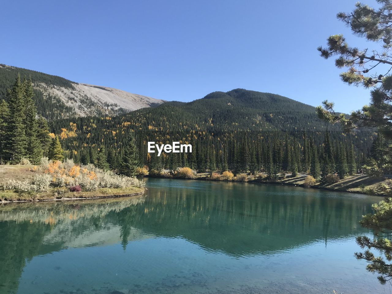 water, reflection, tree, mountain, lake, scenics - nature, plant, body of water, beauty in nature, sky, wilderness, nature, tranquility, tranquil scene, pine tree, mountain range, reservoir, coniferous tree, pinaceae, no people, landscape, forest, pine woodland, environment, land, blue, clear sky, autumn, non-urban scene, travel destinations, day, idyllic, outdoors, travel, woodland, tourism, waterfront