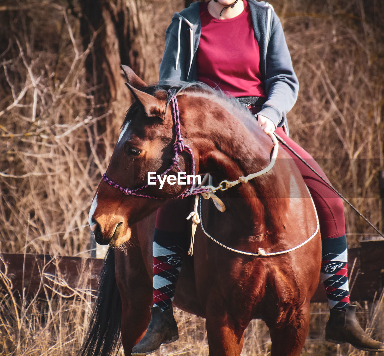 MAN RIDING HORSE IN FIELD