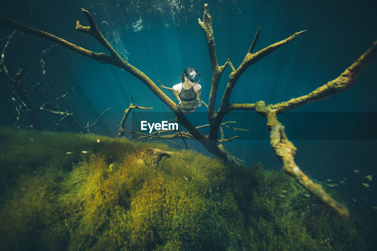 Woman swimming underwater