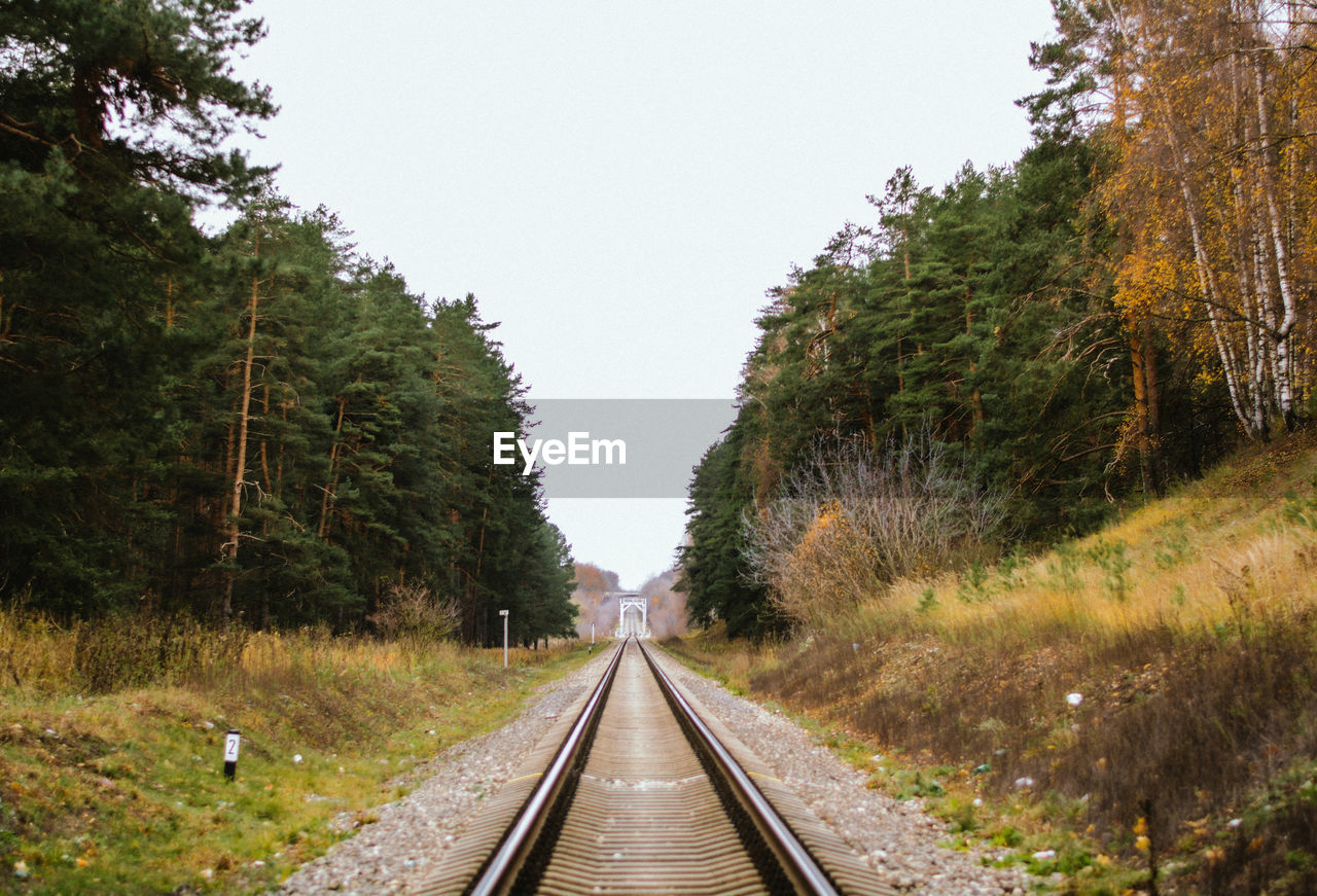 plant, tree, rail transportation, transportation, track, railroad track, the way forward, transport, diminishing perspective, nature, vanishing point, railway, sky, no people, day, land, growth, rural area, autumn, mode of transportation, outdoors, green, leaf, beauty in nature, tranquility, travel, non-urban scene, rolling stock, tranquil scene, forest, vehicle, scenics - nature, clear sky