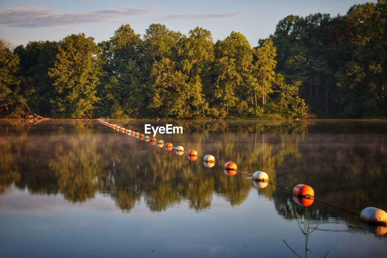 SCENIC VIEW OF LAKE AGAINST TREES