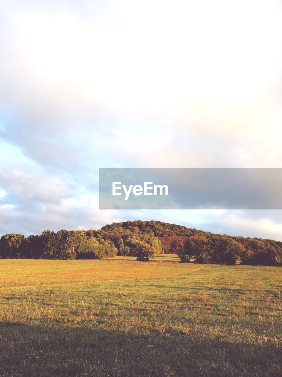 SCENIC VIEW OF FIELD AGAINST SKY DURING SUNSET