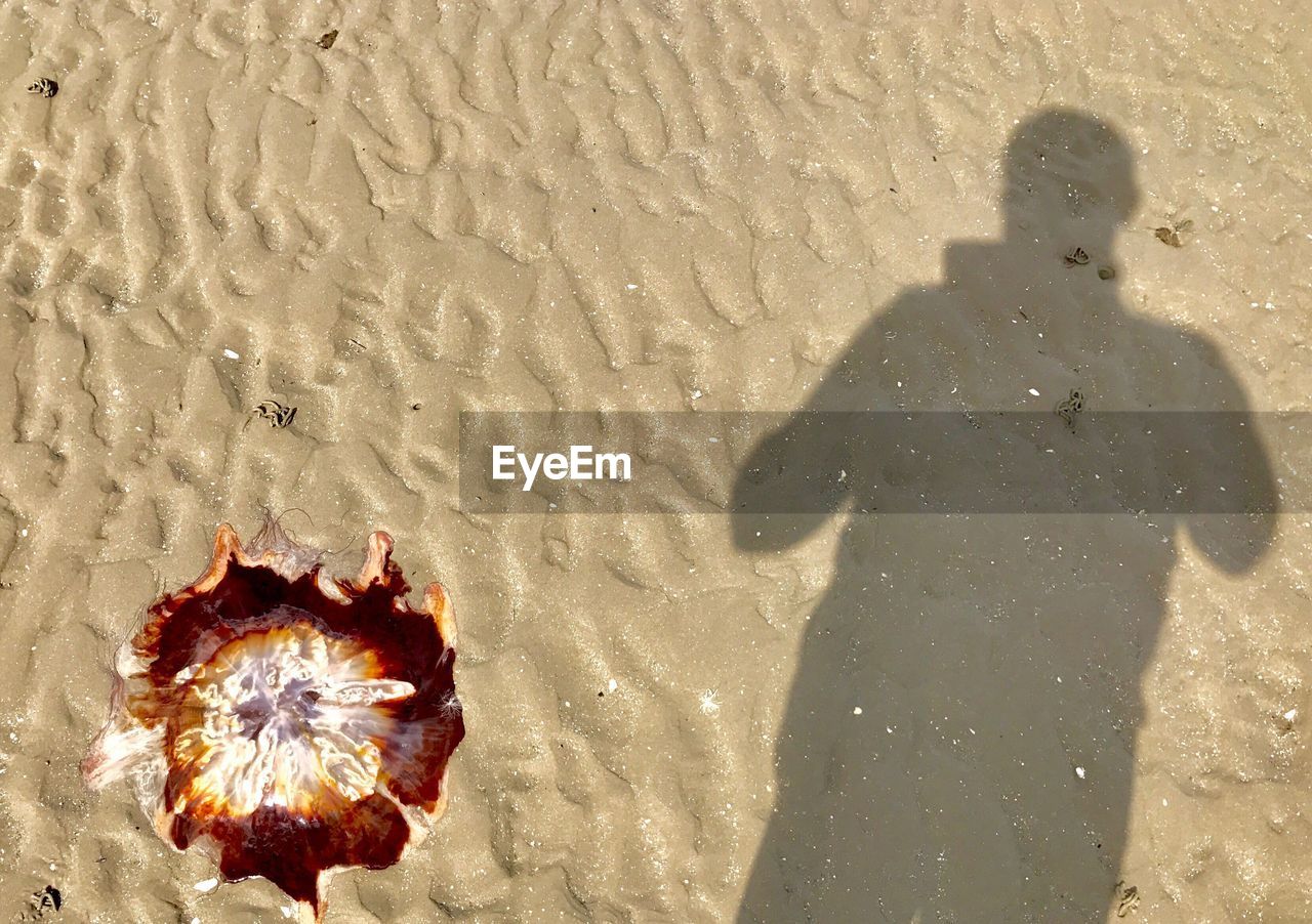 HIGH ANGLE VIEW OF PERSON STANDING ON SAND