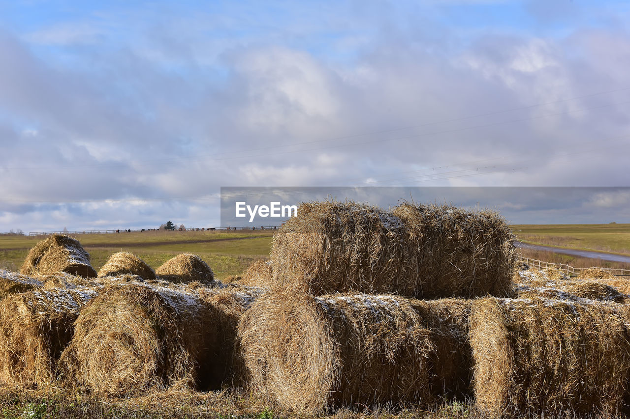 HAY BALES ON FIELD