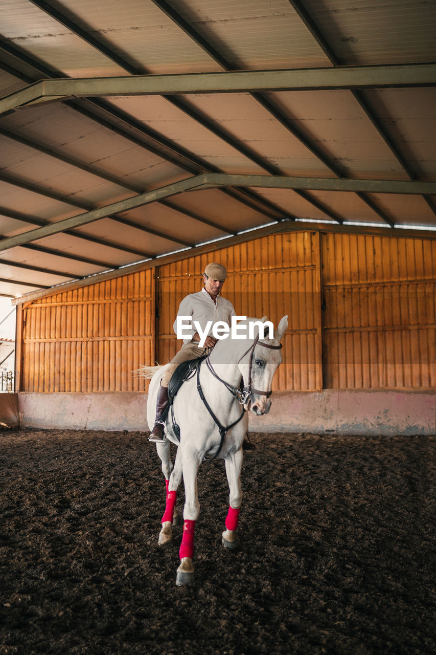 Senior man horse riding in stable