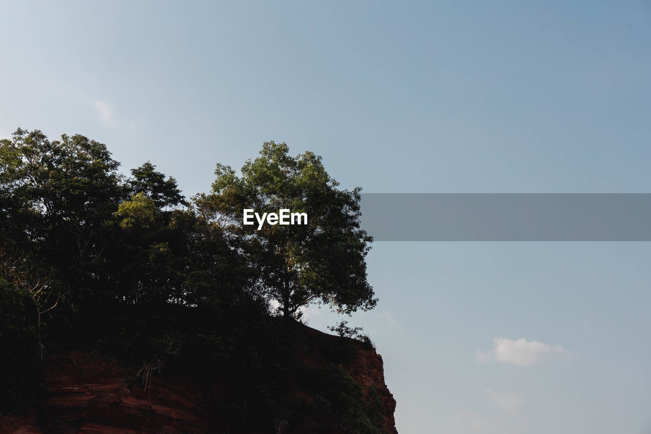 sky, tree, nature, plant, cloud, low angle view, hill, sunlight, no people, morning, beauty in nature, outdoors, horizon, day, tranquility, scenics - nature, copy space, environment, blue, rock