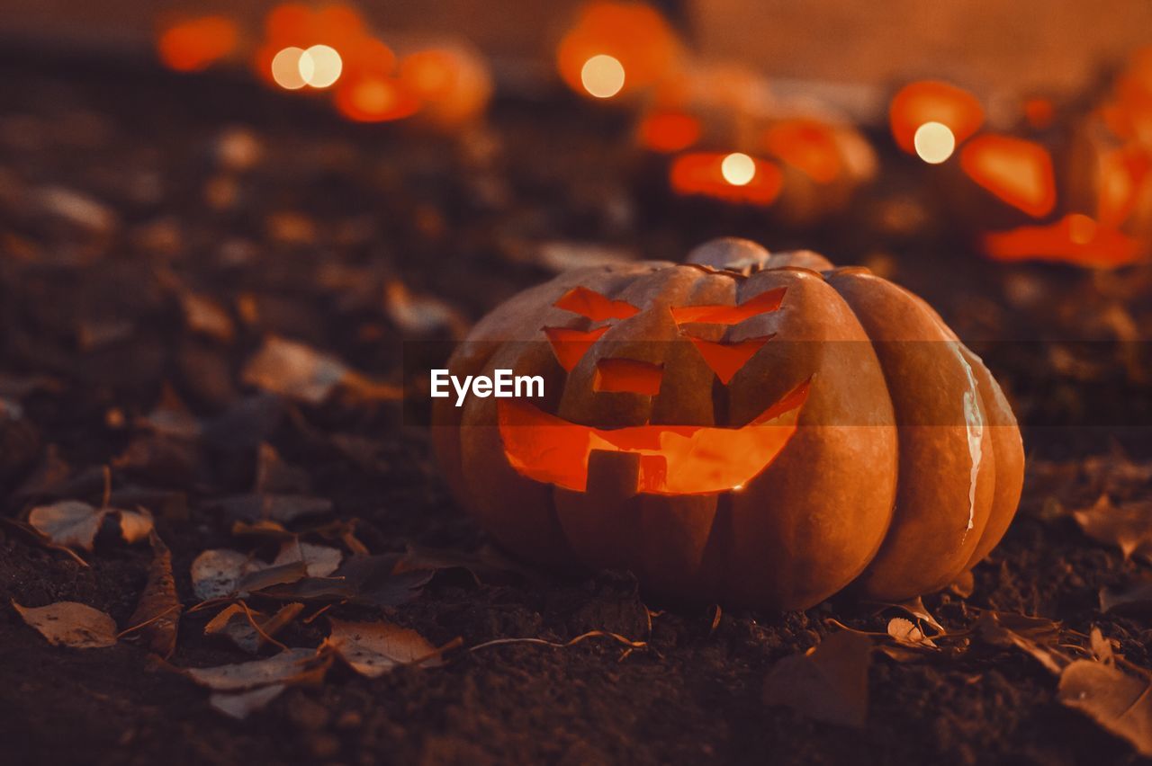 Close-up of pumpkin on autumn leaves at night