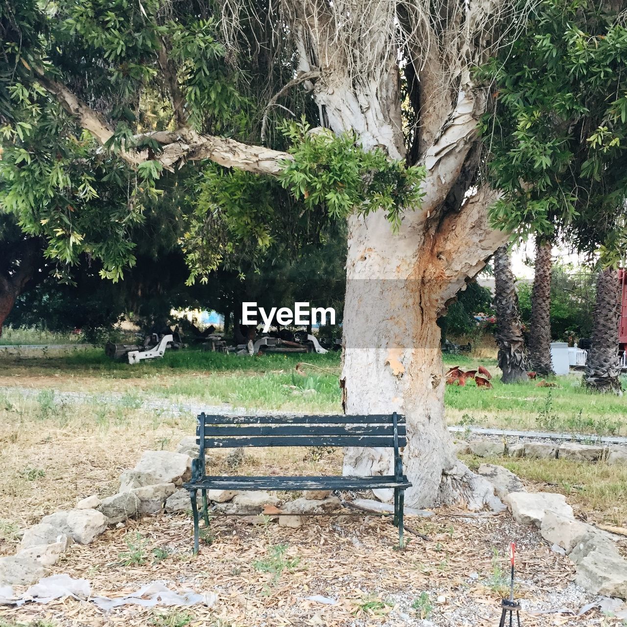 PARK BENCH IN PARK