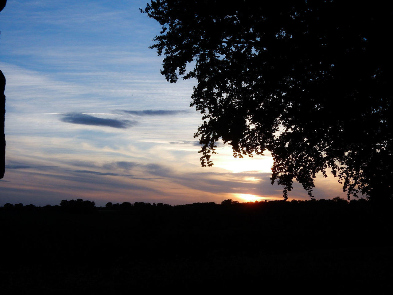 LOW ANGLE VIEW OF SILHOUETTE TREE AGAINST SKY