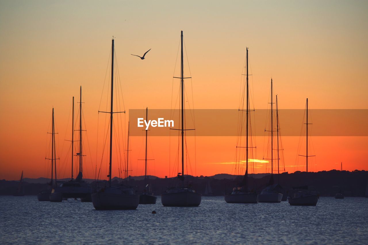 Sailboats in sea against clear sky during sunset