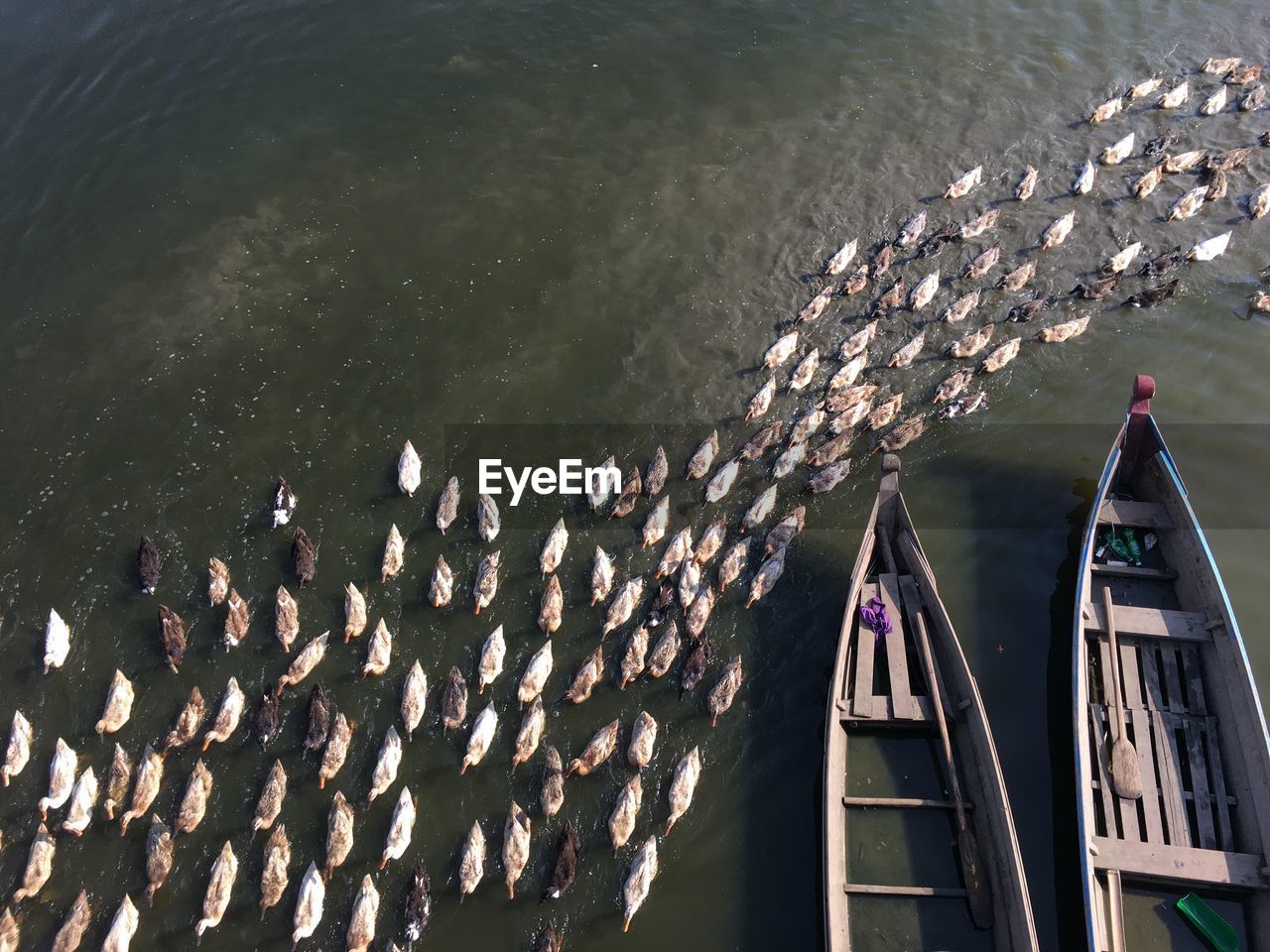 HIGH ANGLE VIEW OF NAUTICAL VESSEL IN SEA