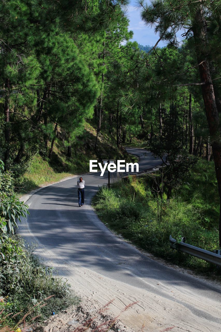 PERSON WALKING ON ROAD IN FOREST