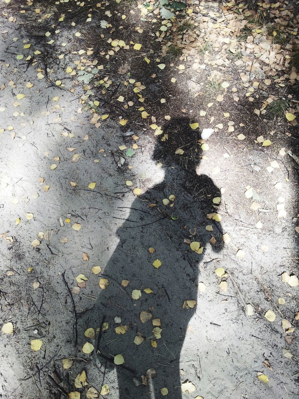 High angle view of girl shadow on footpath during autumn