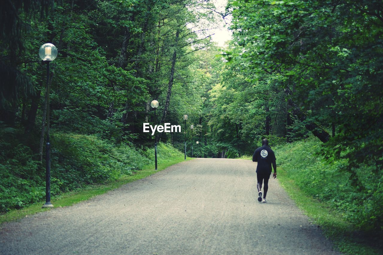 Rear view of man walking on road amidst trees