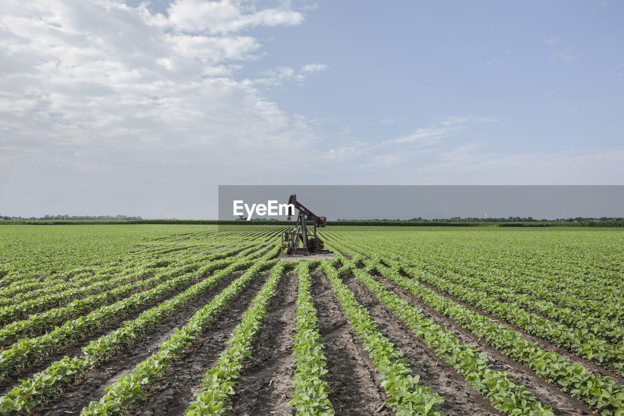 Oil well on agriculture field against sky