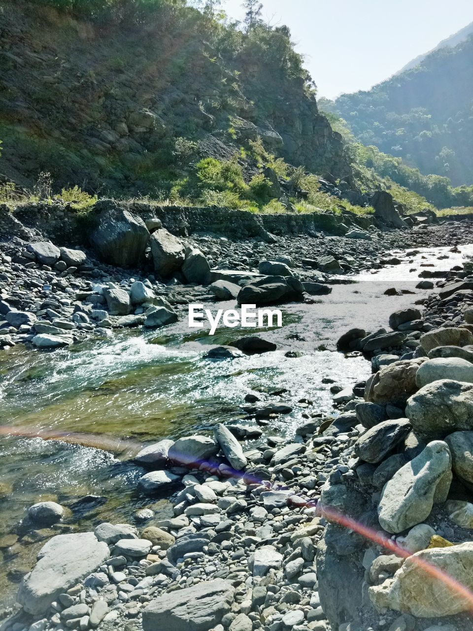 SCENIC VIEW OF RIVER AMIDST TREES AGAINST SKY