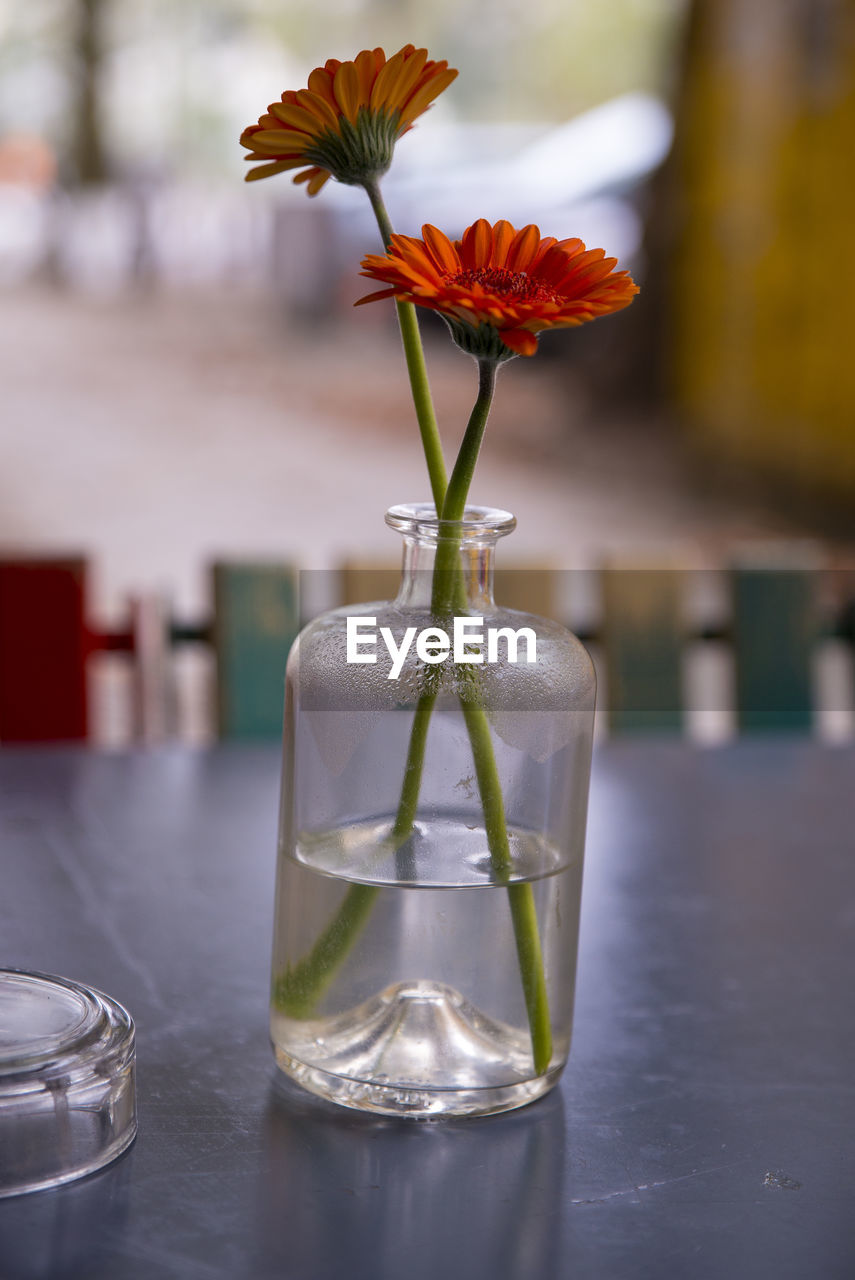 CLOSE-UP OF GLASS VASE ON TABLE