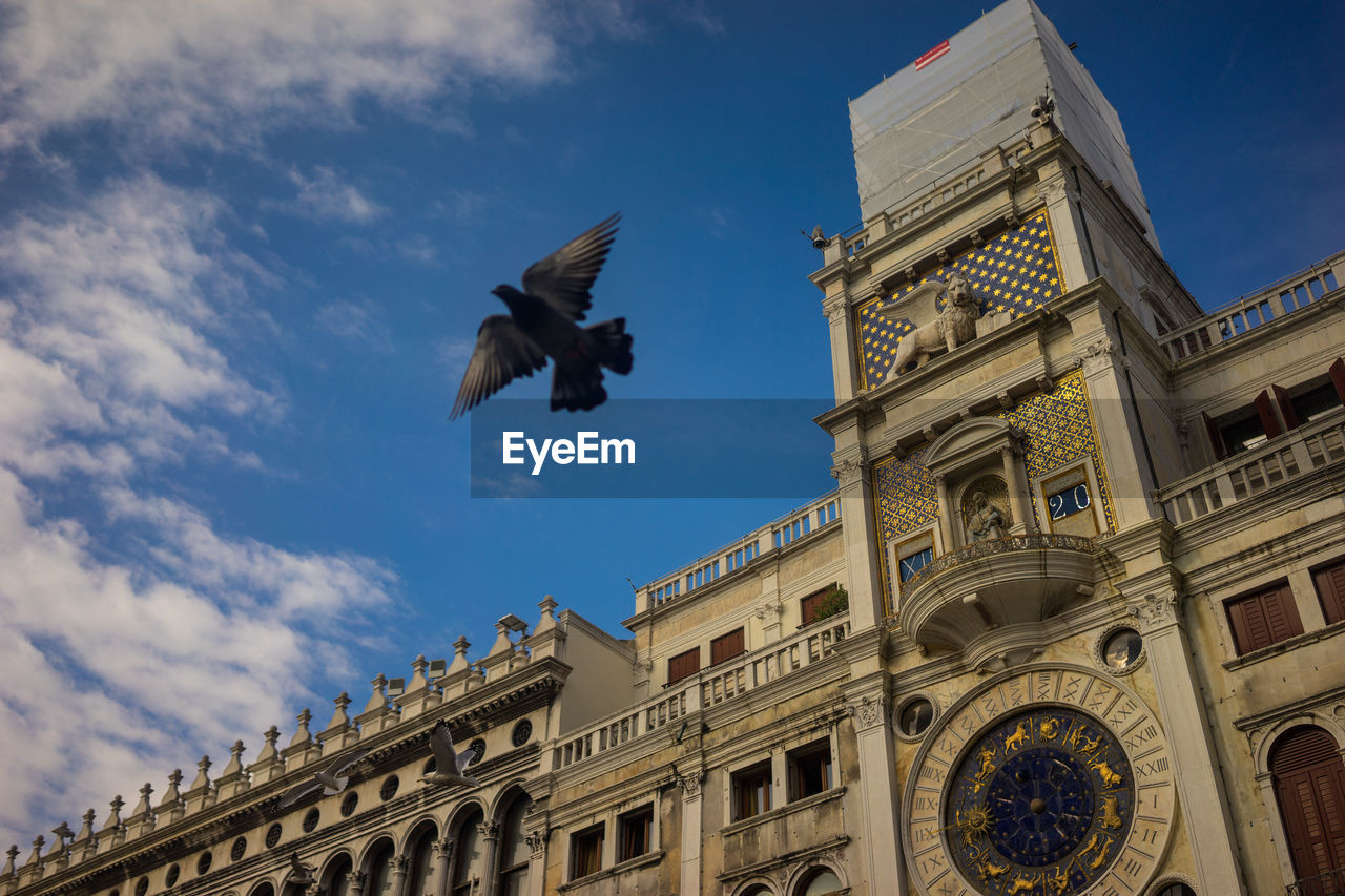 LOW ANGLE VIEW OF BIRDS FLYING AGAINST BUILDING