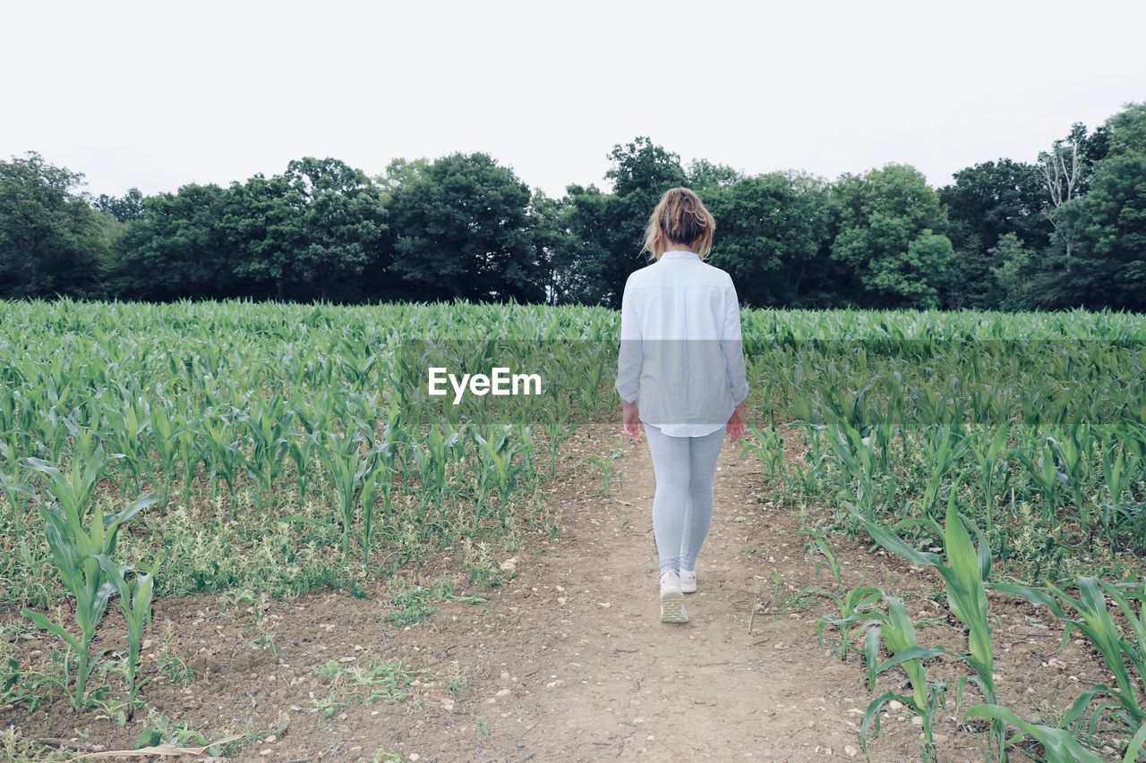 Rear view of girl standing on field