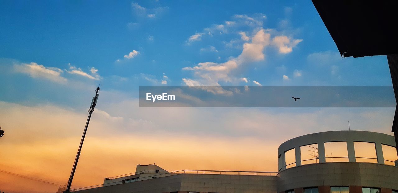 LOW ANGLE VIEW OF BIRDS FLYING AGAINST SKY