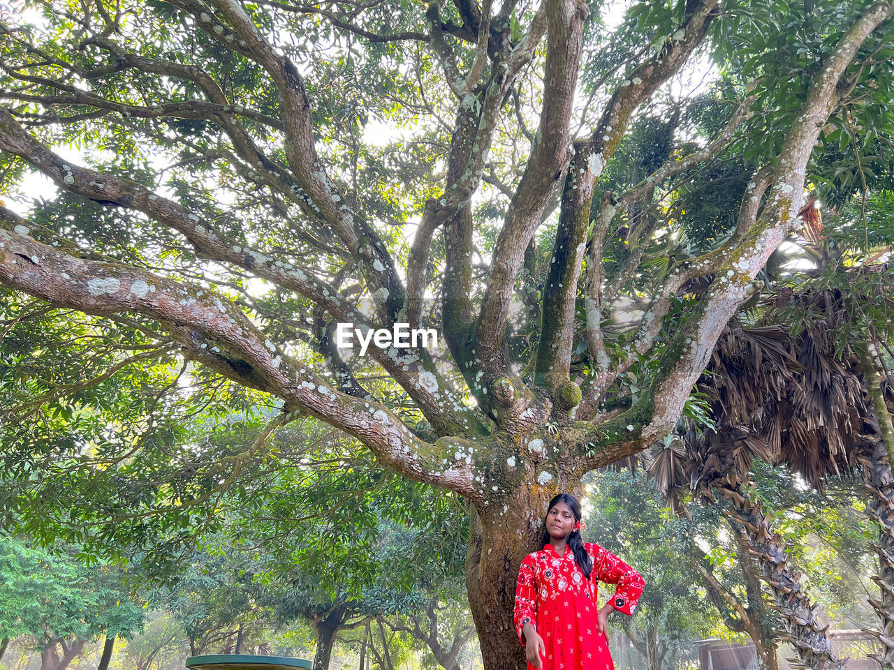 tree, plant, flower, one person, nature, women, growth, leisure activity, day, adult, lifestyles, standing, branch, outdoors, beauty in nature, green, young adult, front view, clothing, casual clothing, land, three quarter length, red, tree trunk, trunk, forest, female