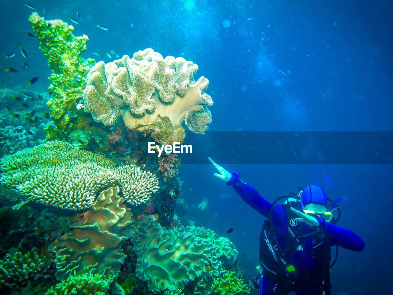 MAN SWIMMING UNDERWATER