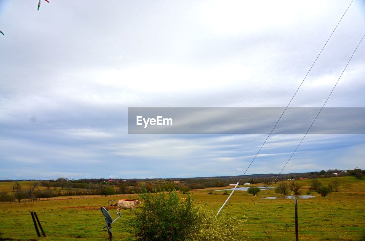 Scenic view of grassy field against cloudy sky