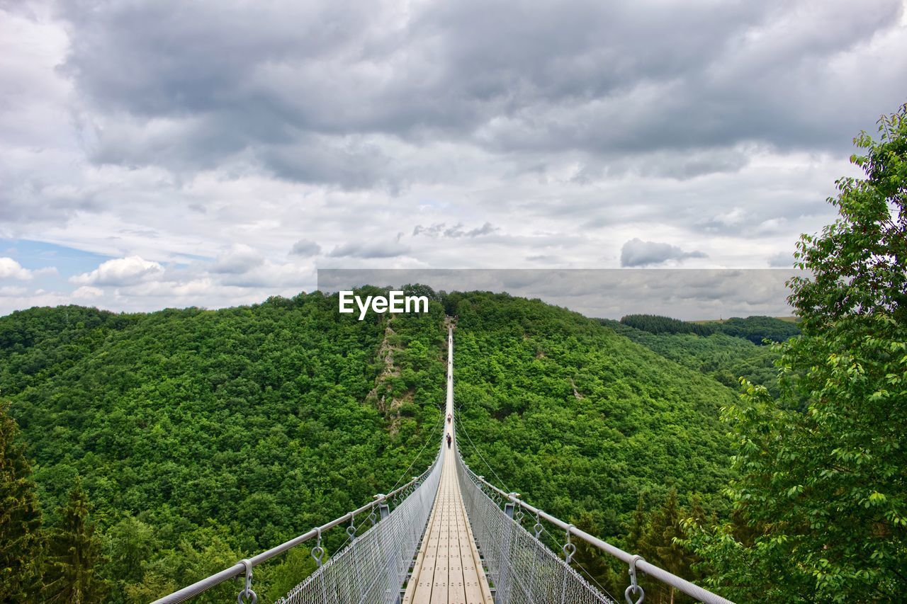 PANORAMIC SHOT OF DIRT ROAD ALONG TREES AND PLANTS