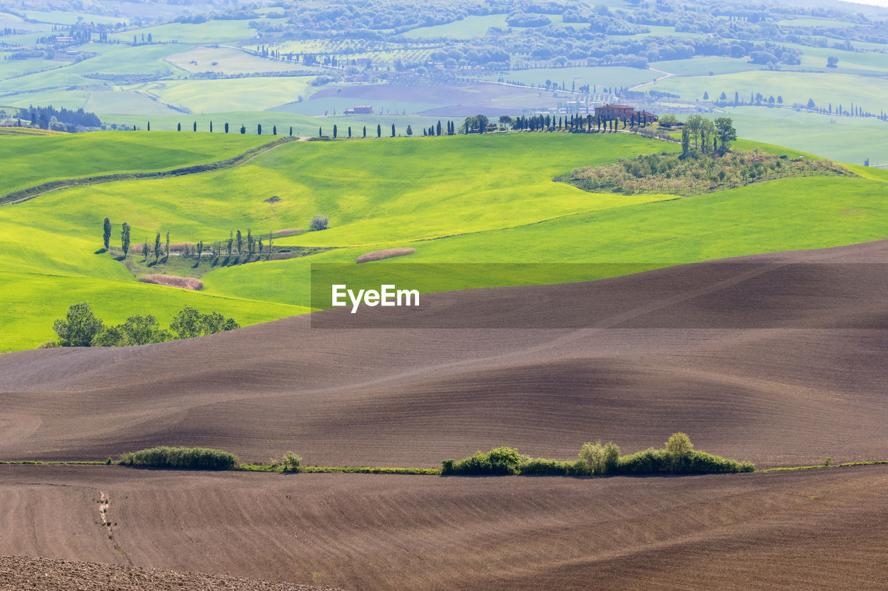 View in tuscany with newly sown fields