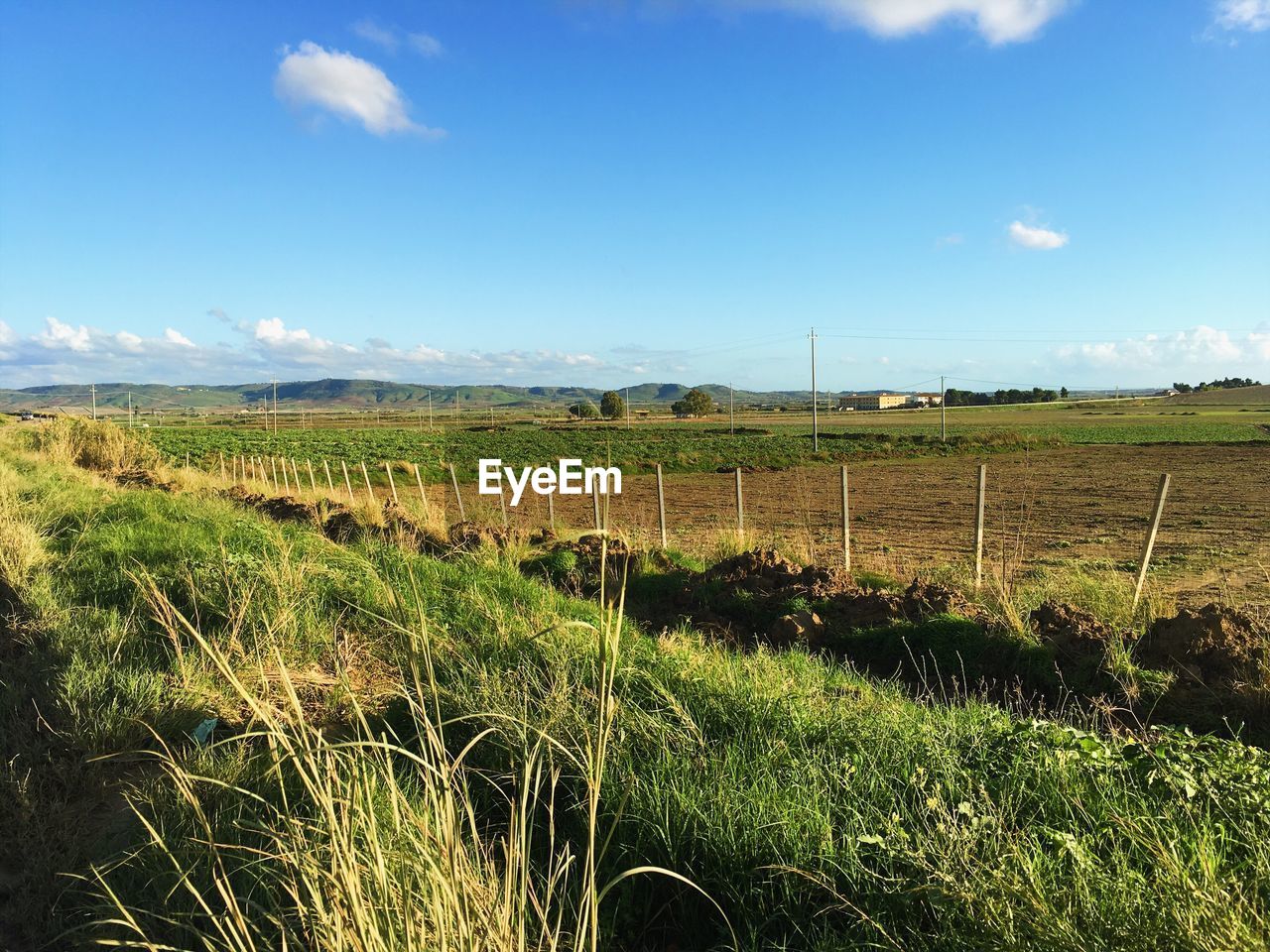 FIELD AGAINST SKY