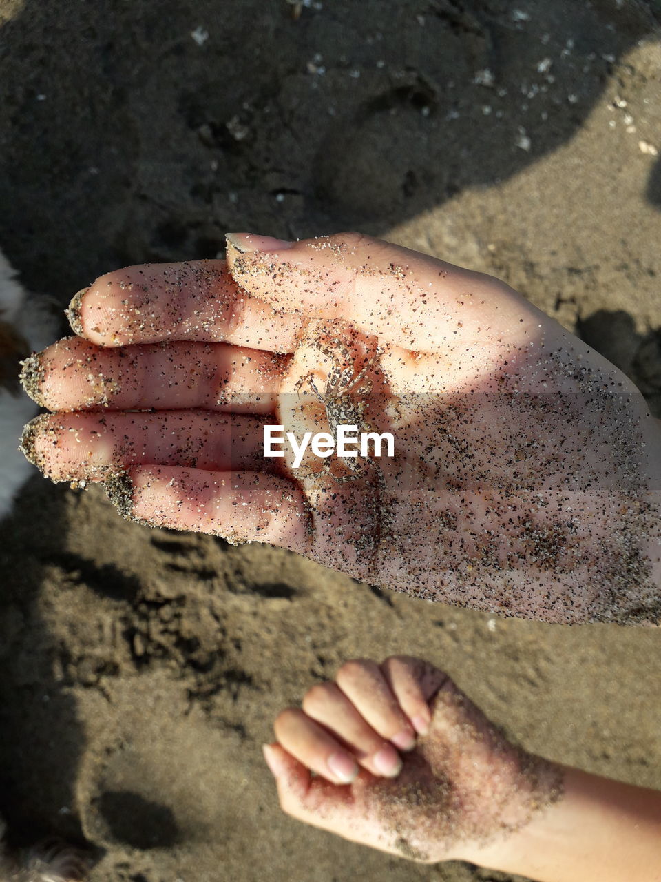 CLOSE-UP OF HAND ON MUD