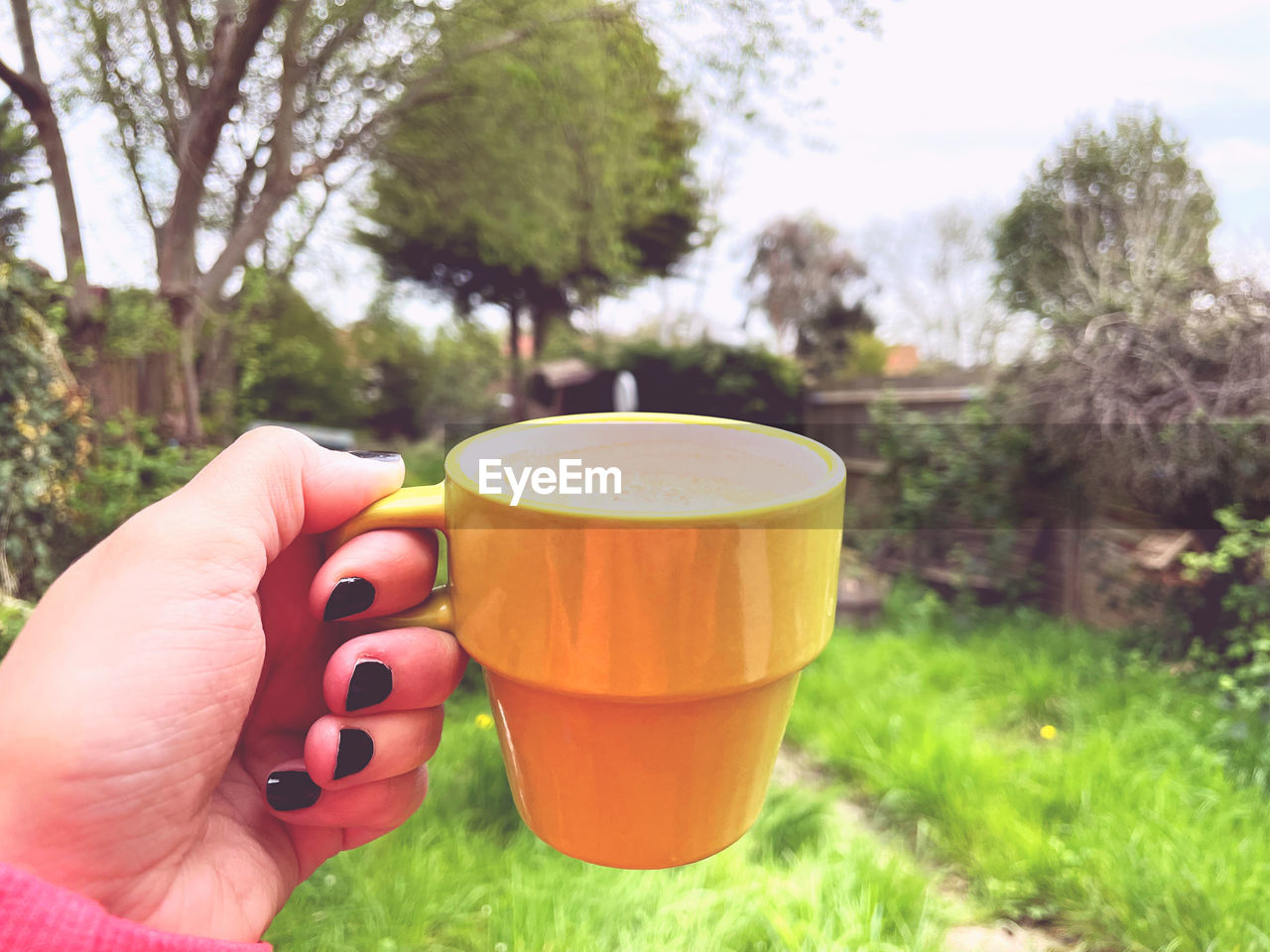 hand, drink, food and drink, refreshment, holding, one person, plant, cup, mug, adult, tree, lifestyles, nature, focus on foreground, day, coffee, coffee cup, freshness, leisure activity, women, grass, outdoors, hot drink, food, close-up, finger, drinking, personal perspective, tea