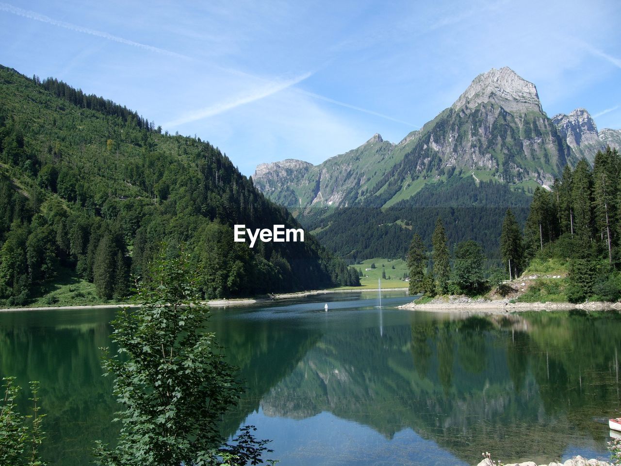 Scenic view of lake by trees against blue sky