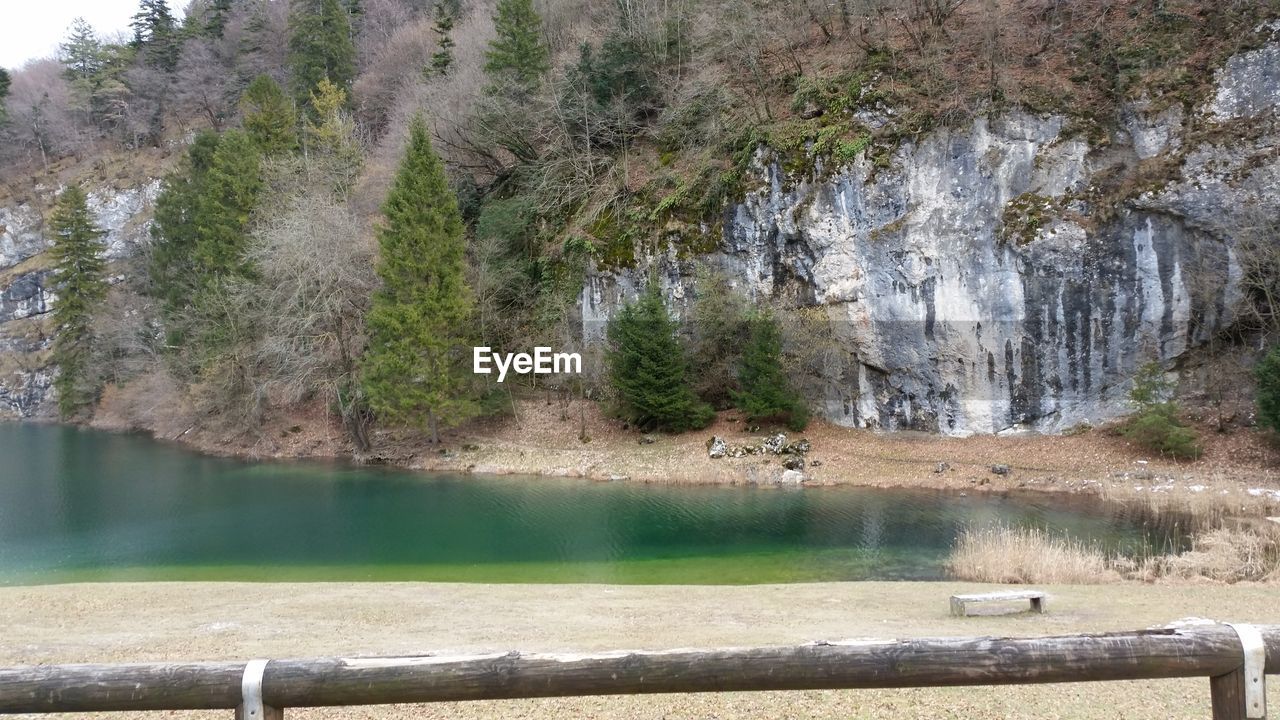 Scenic view of river with trees in background