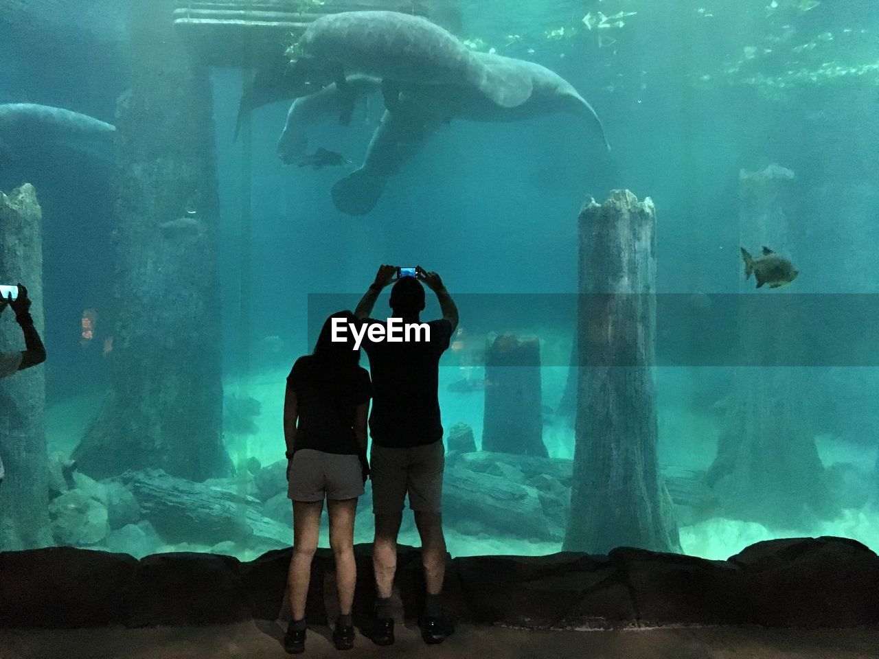 Rear view of couple at aquarium