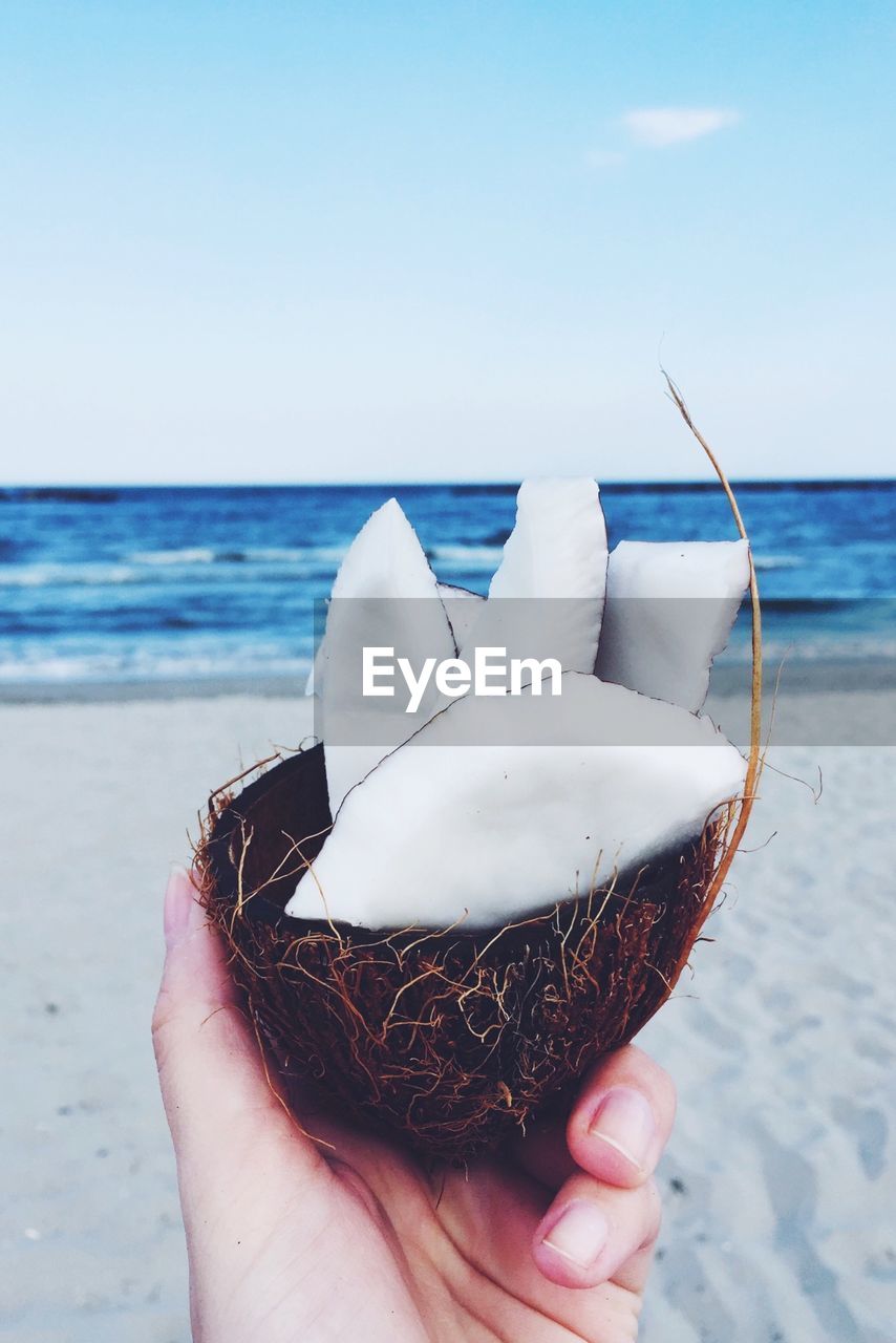 Cropped image of hand holding coconut at beach