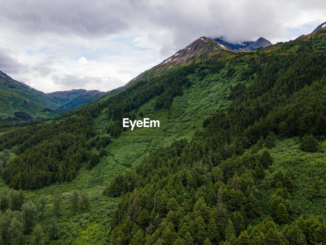 SCENIC VIEW OF GREEN LANDSCAPE AND MOUNTAINS AGAINST SKY
